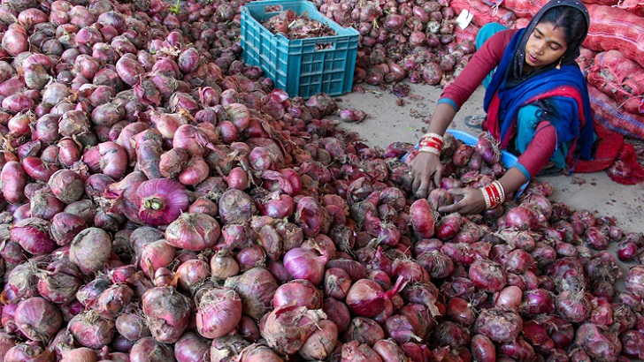 ফাইল ফটো