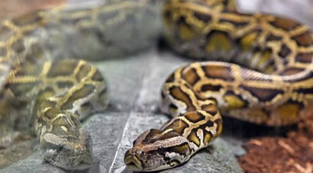 প্রতীকী ছবি