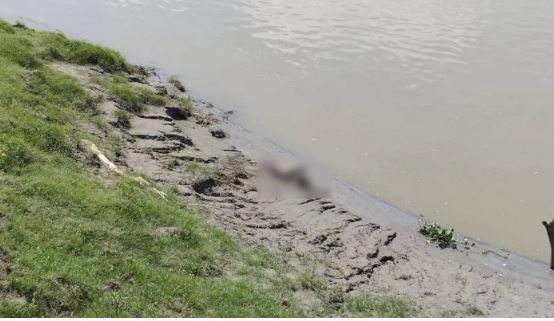 ঈশ্বরগঞ্জ থানার পুলিশ ঘটনাস্থলে গিয়ে সুরতহাল শেষে মরদেহটি থানায় নিয়ে যায়। 