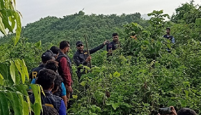 ফাইল ছবি