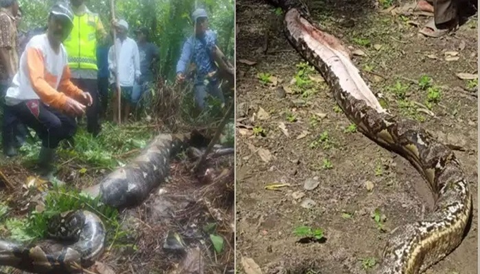 ছবি:ইন্টারনেট