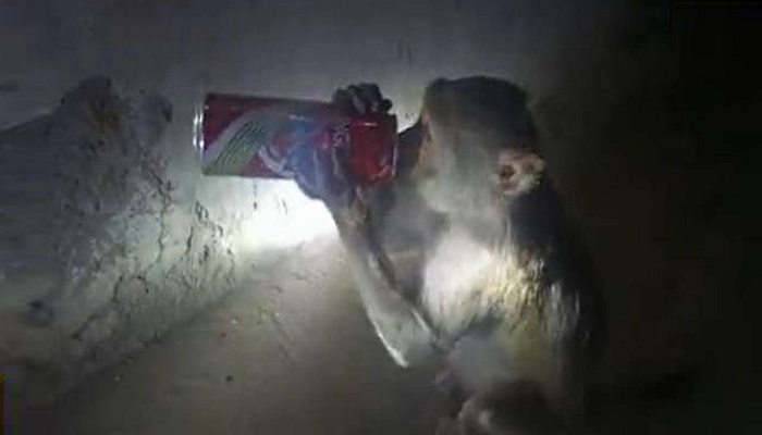 ছবি:ইন্টারনেট