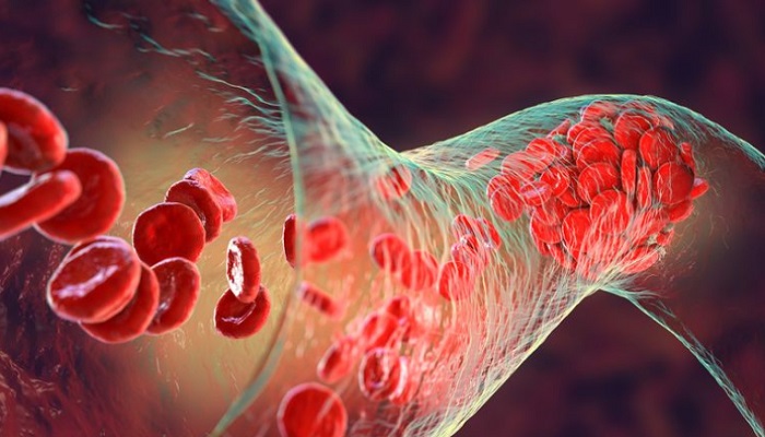 ছবি:ইন্টারনেট