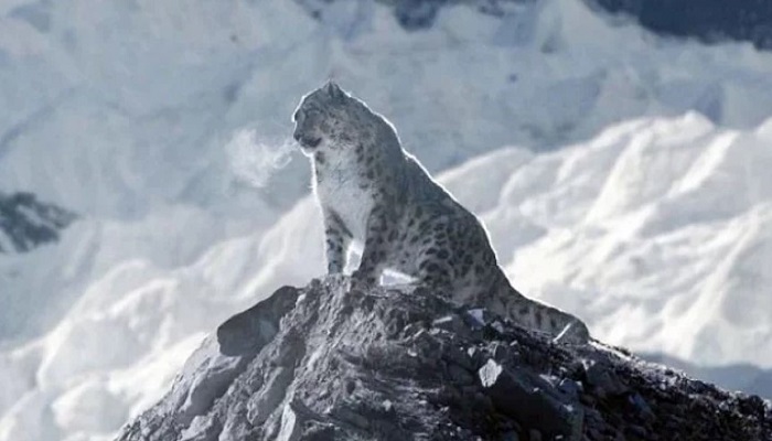 কিটিয়া পাওলোস্কির তোলা ছবি। ছবি: ইনস্টাগ্রাম