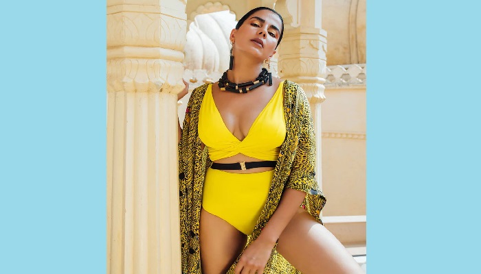 অভিনেত্রী কীর্তি কুলহারি