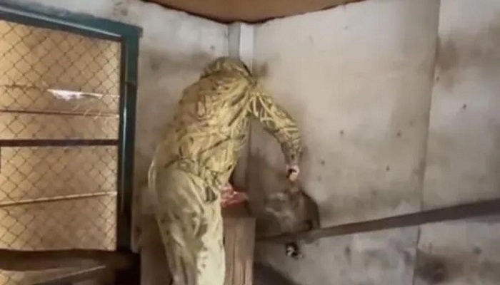 ছবি:ইন্টারনেট