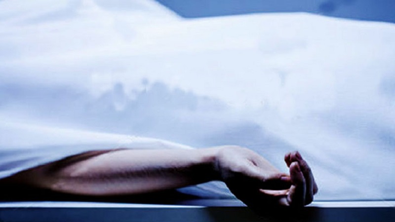 ছবিঃ ইন্টারনেট 