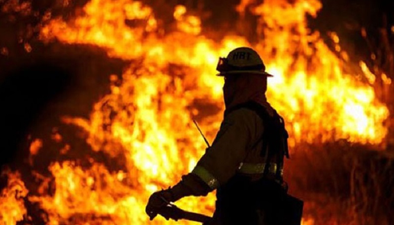 ছবিঃ ইন্টারনেট 