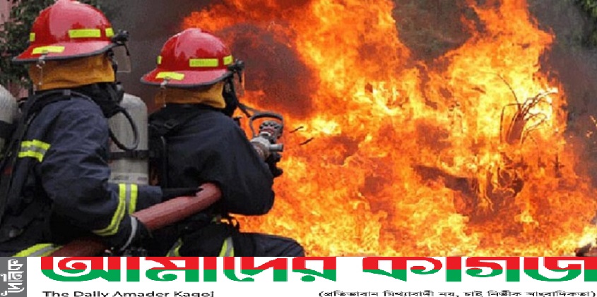 ফাইল ছবি 