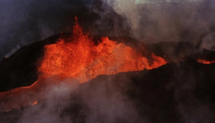 ছবি:ইন্টারনেট