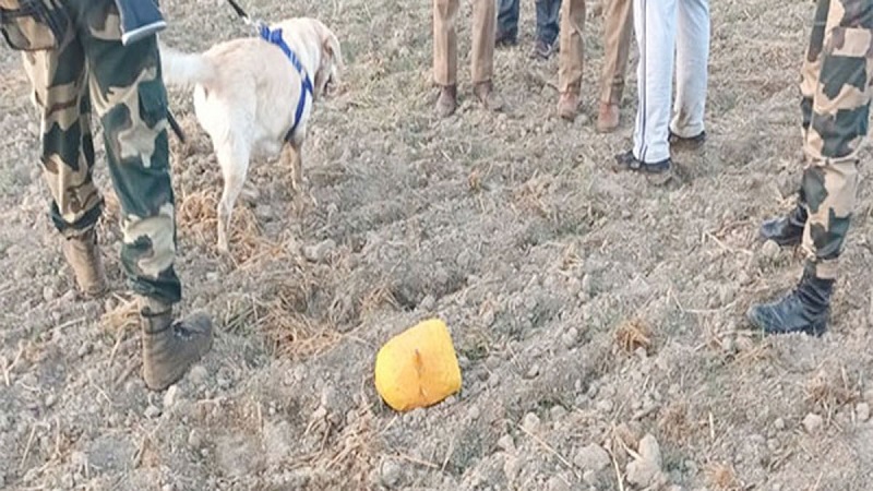 ছবি - সংগৃহীত