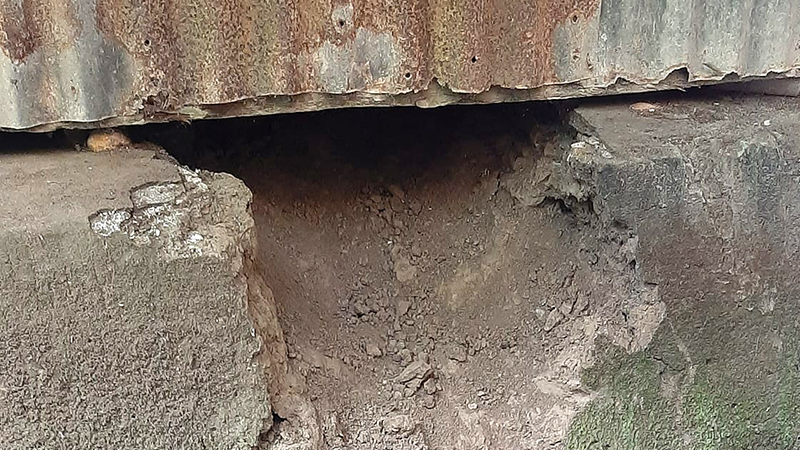 ছবি - সংগৃহীত