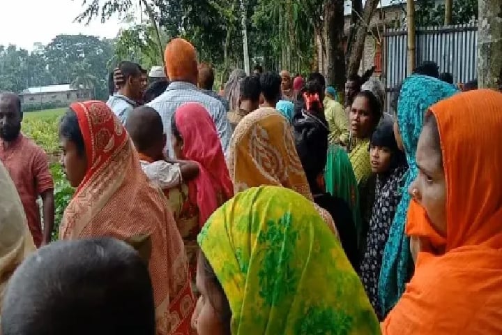 ছবি - সংগৃহীত