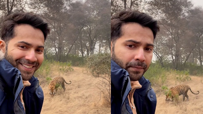 ছবি - সংগৃহীত