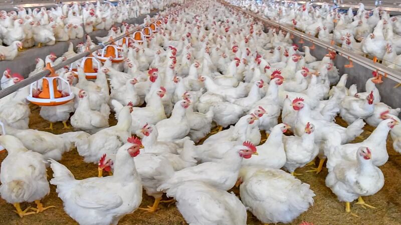 ছবি - সংগৃহীত