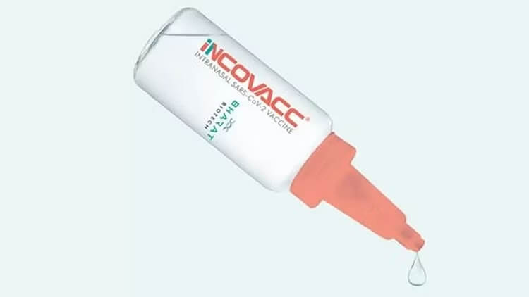 ছবি - সংগৃহীত