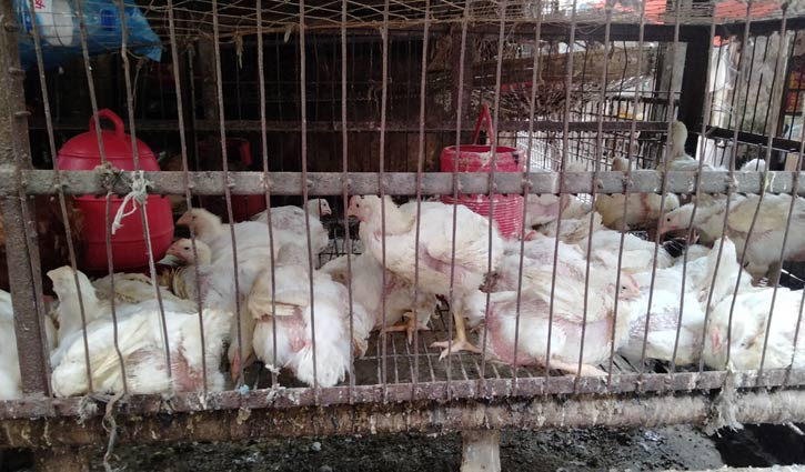 ছবি - সংগৃহীত