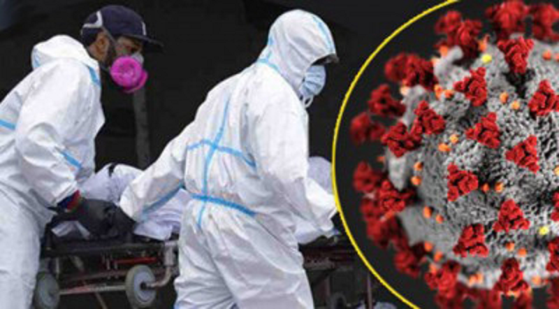 ছবি - সংগৃহীত