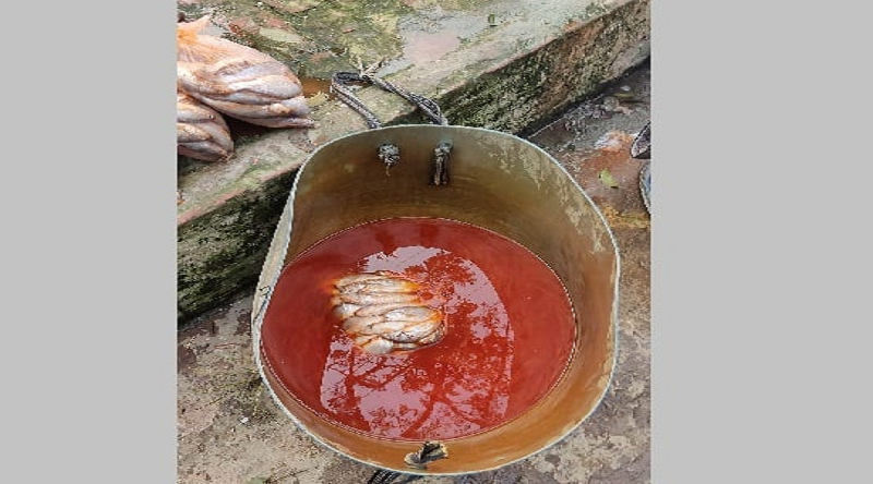 ছবি - সংগৃহীত