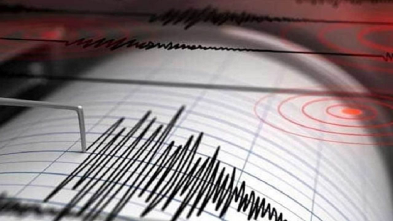 ছবি - সংগৃহীত