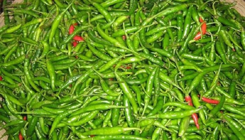 ছবি - সংগৃহীত