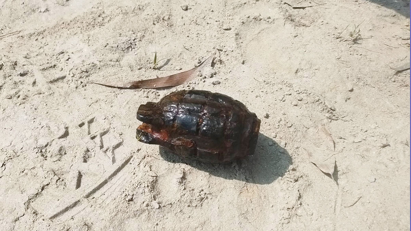 ছবি - সংগৃহীত