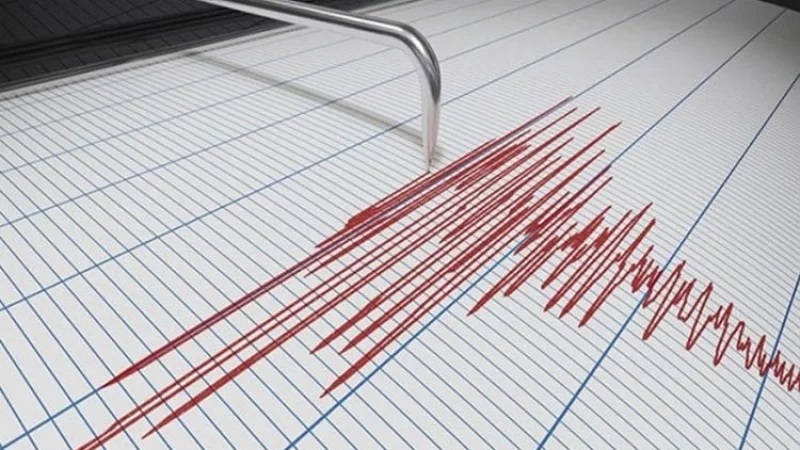 ছবি - সংগৃহীত