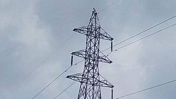 সংগ্রহীত