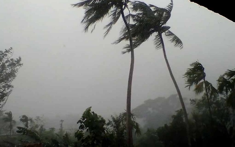 ছবি - সংগৃহীত