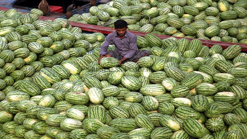 ছবি - সংগৃহীত