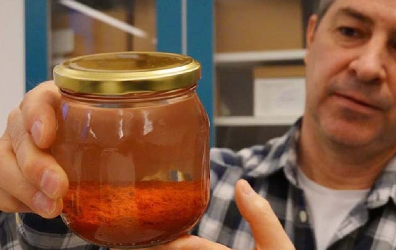 ছবি - সংগৃহীত