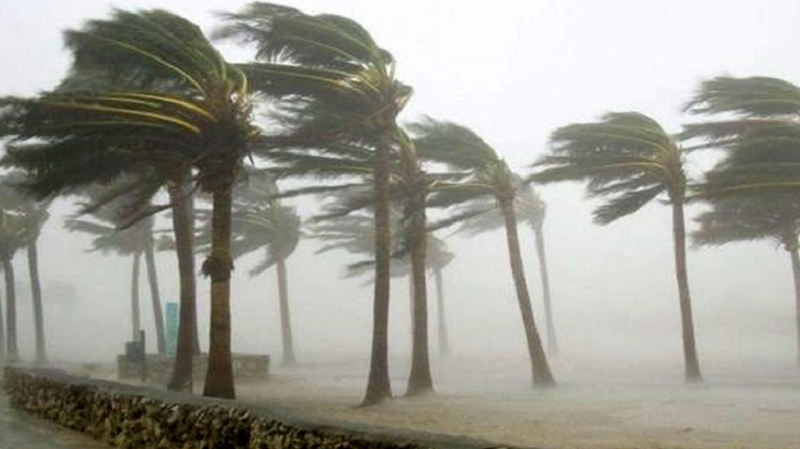 ছবি - সংগৃহীত