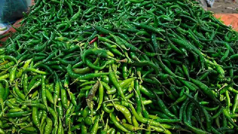 ছবি - সংগৃহীত