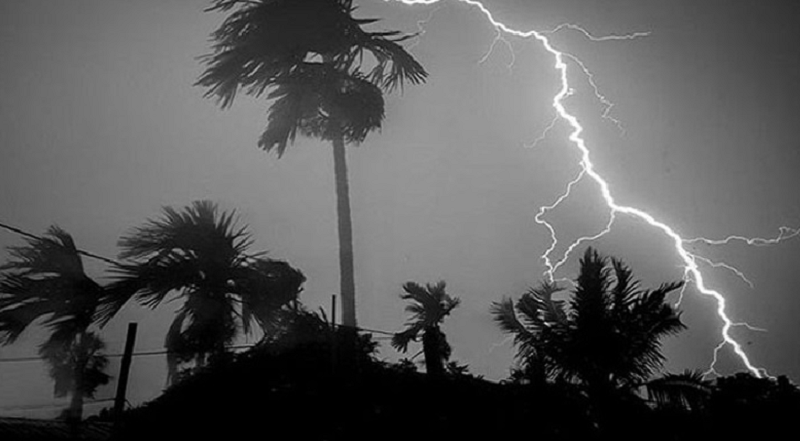 ছবি - সংগৃহীত