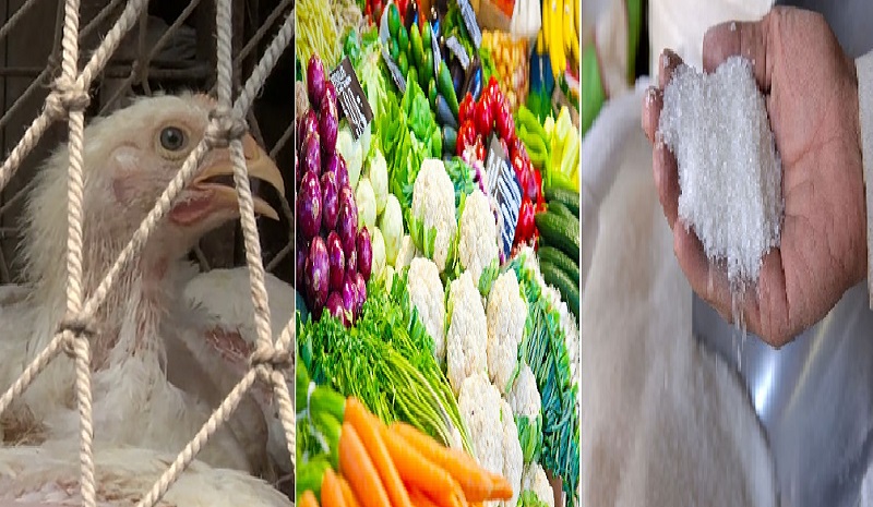 ছবি - সংগৃহীত