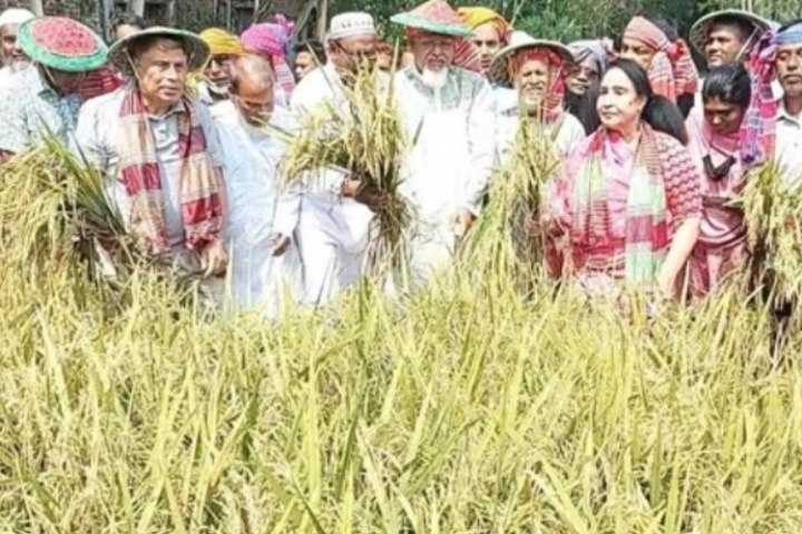 ছবি - সংগৃহীত