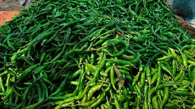 ছবি - সংগৃহীত