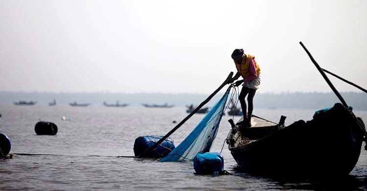 ছবি - সংগৃহীত