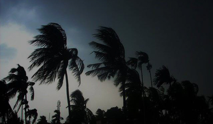 ছবি - সংগৃহীত