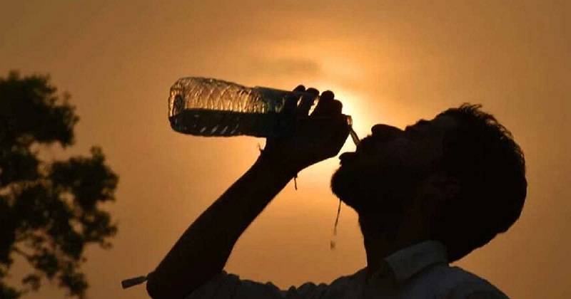 ছবি - সংগৃহীত