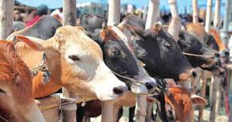 ছবি - সংগৃহীত
