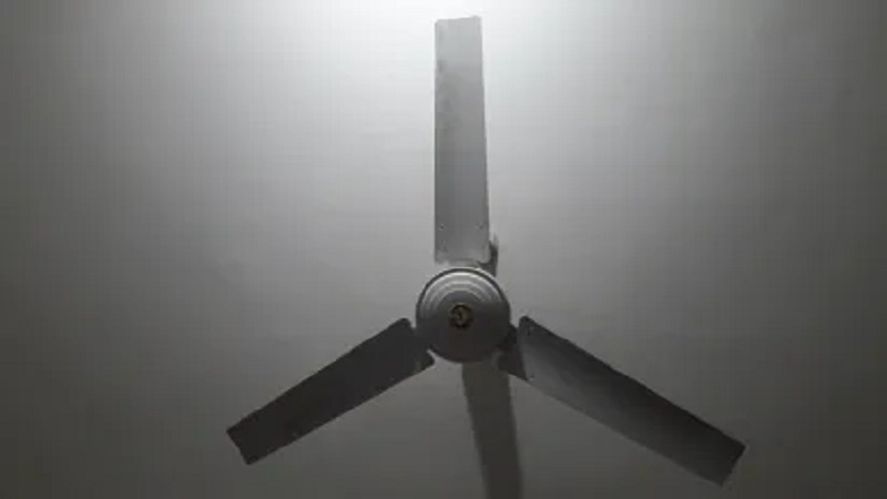 ছবি - সংগৃহীত