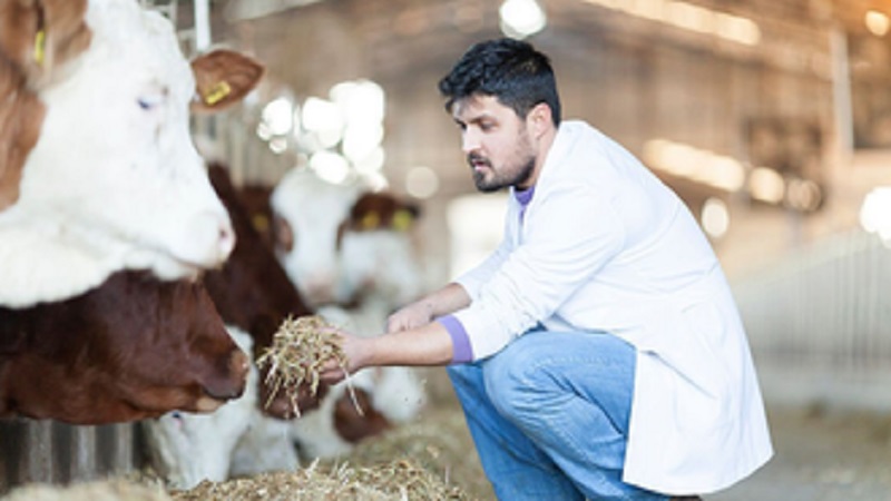 ছবি - সংগৃহীত