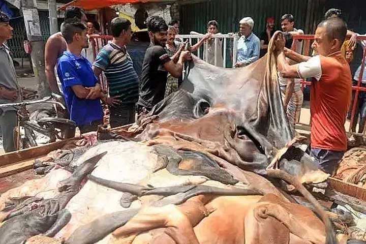 ছবি - সংগৃহীত