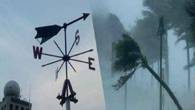 ছবি - সংগৃহীত