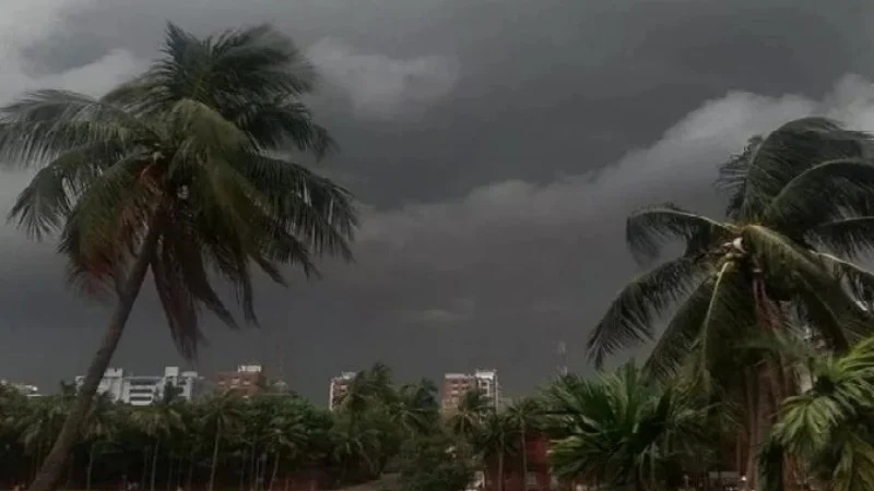 ছবি - সংগৃহীত