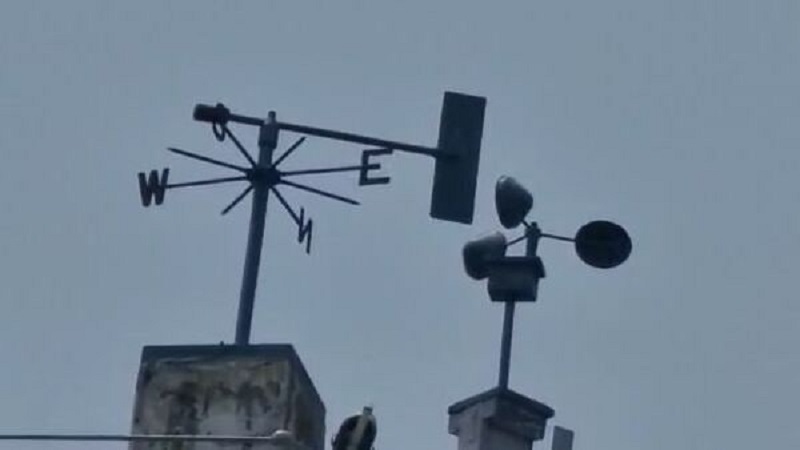 ছবি - সংগৃহীত