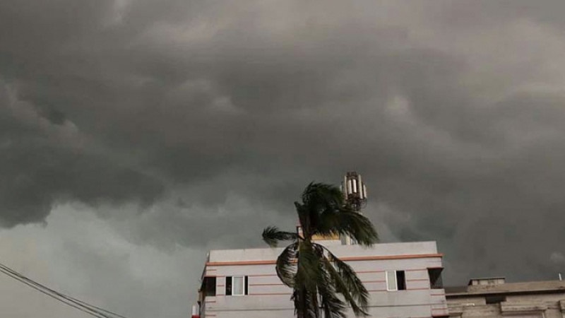 ছবি - সংগৃহীত