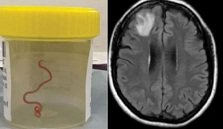 ছবি - সংগৃহীত