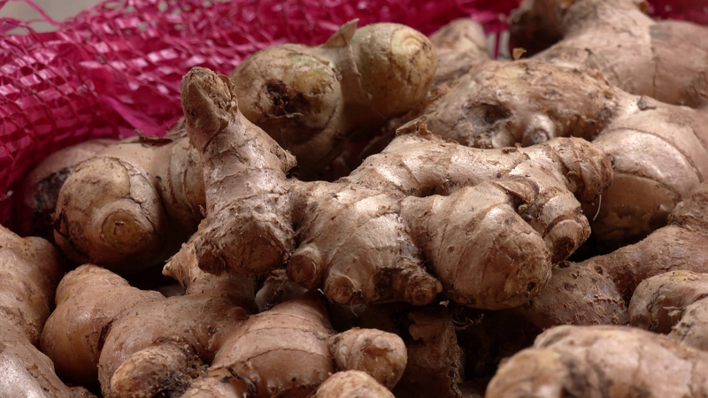 ছবি - সংগৃহীত